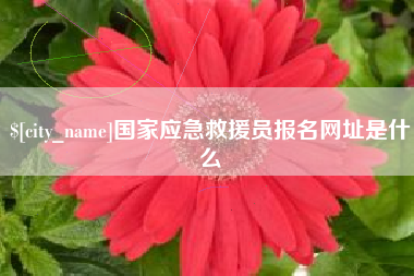 黔西南国家应急救援员报名网址是什么