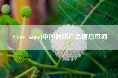 黔西南中国消防产品信息查询