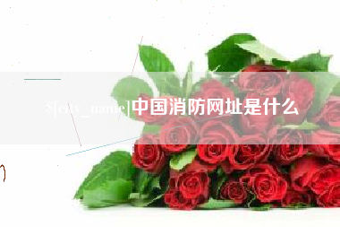 黔西南中国消防网址是什么