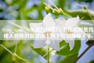 黔西南60米接力赛技巧-下压式则是传棒人将棒的前部由上向下传到接棒人手中