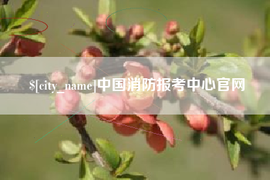 黔西南中国消防报考中心官网