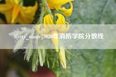 黔西南2020年消防学院分数线