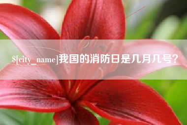 黔西南我国的消防日是几月几号？