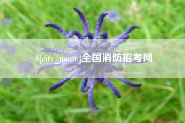 黔西南全国消防招考网