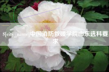 黔西南中国消防救援学院山东选科要求
