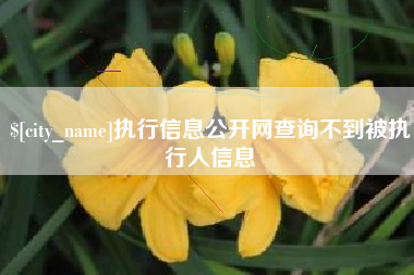 黔西南执行信息公开网查询不到被执行人信息