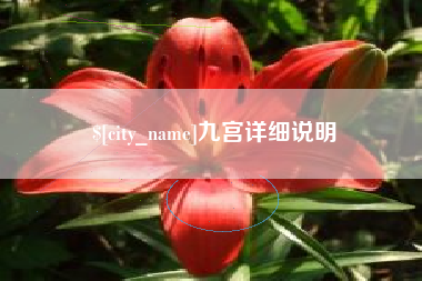 黔西南九宫详细说明