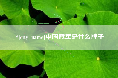 黔西南中国冠军是什么牌子
