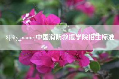 黔西南中国消防救援学院招生标准