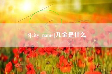 黔西南九金是什么