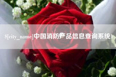 黔西南中国消防产品信息查询系统1