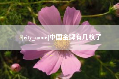 黔西南中国金牌有几枚了