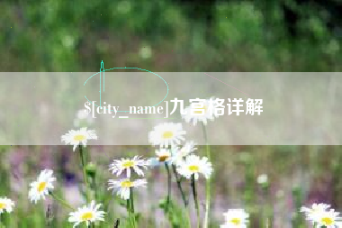 黔西南九宫格详解