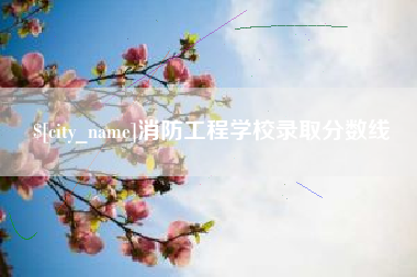 黔西南消防工程学校录取分数线