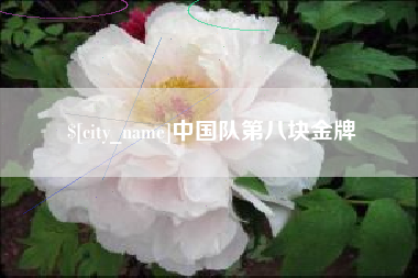 黔西南中国队第八块金牌