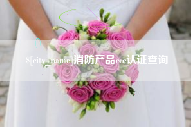 黔西南消防产品ccc认证查询