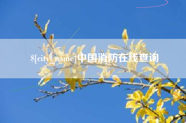 黔西南中国消防在线查询