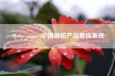 黔西南中国消防产品查询系统