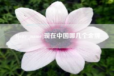 黔西南现在中国哪几个金牌