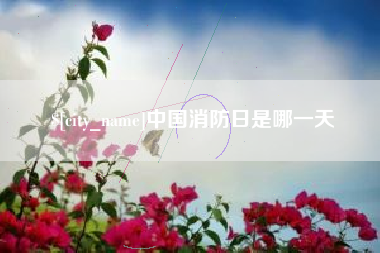 黔西南中国消防日是哪一天