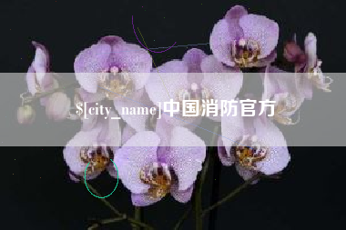 黔西南中国消防官方