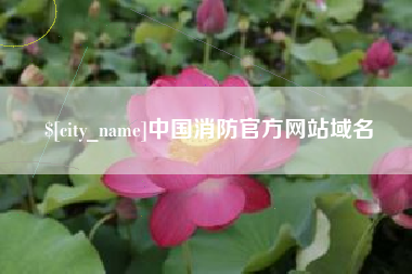 黔西南中国消防官方网站域名