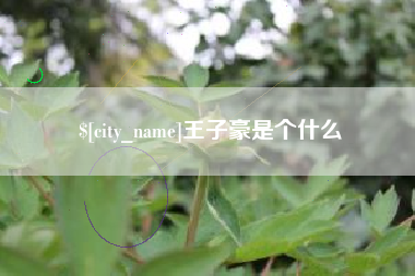 黔西南王子豪是个什么