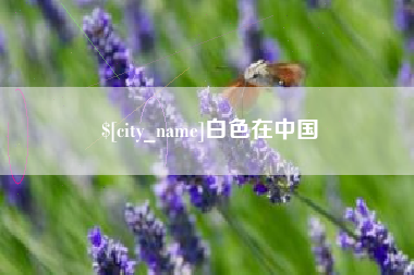 黔西南白色在中国