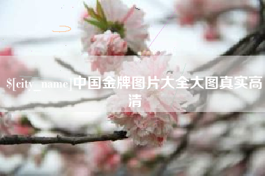 黔西南中国金牌图片大全大图真实高清