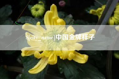 黔西南中国金牌样子