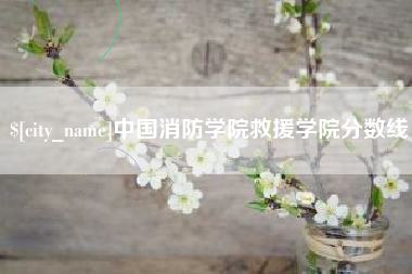 黔西南中国消防学院救援学院分数线