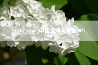 黔西南中国金牌有哪些2021
