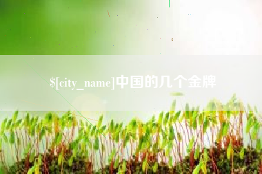 黔西南中国的几个金牌