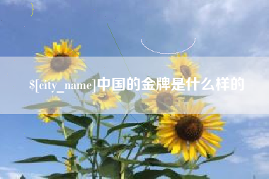 黔西南中国的金牌是什么样的