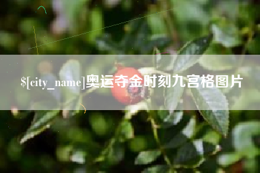 黔西南奥运夺金时刻九宫格图片