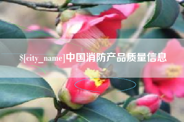 黔西南中国消防产品质量信息