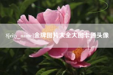 黔西南金牌图片大全大图卡通头像