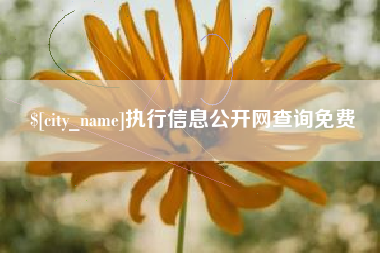 黔西南执行信息公开网查询免费