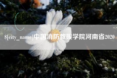黔西南中国消防救援学院河南省2020